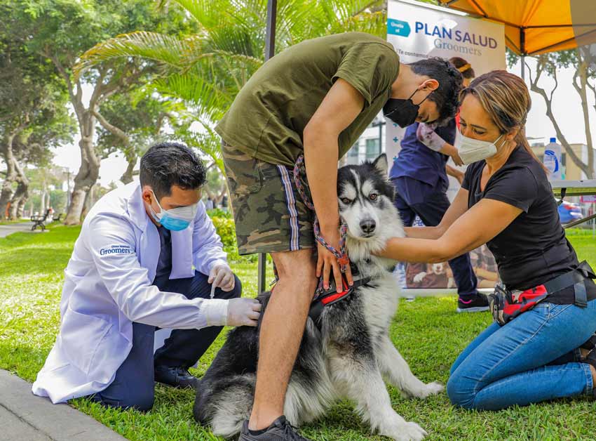 veterinarias en lima que atienden las 24 horas